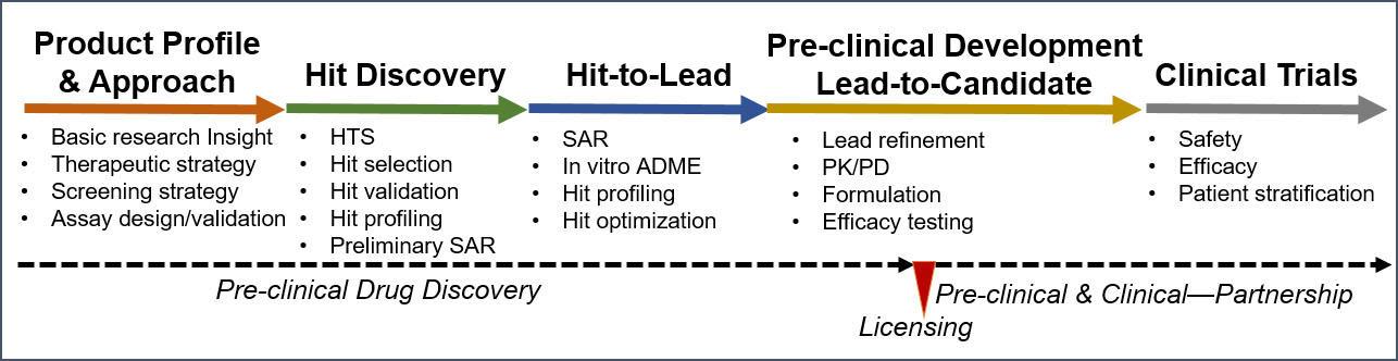 The Drug Discovery Process